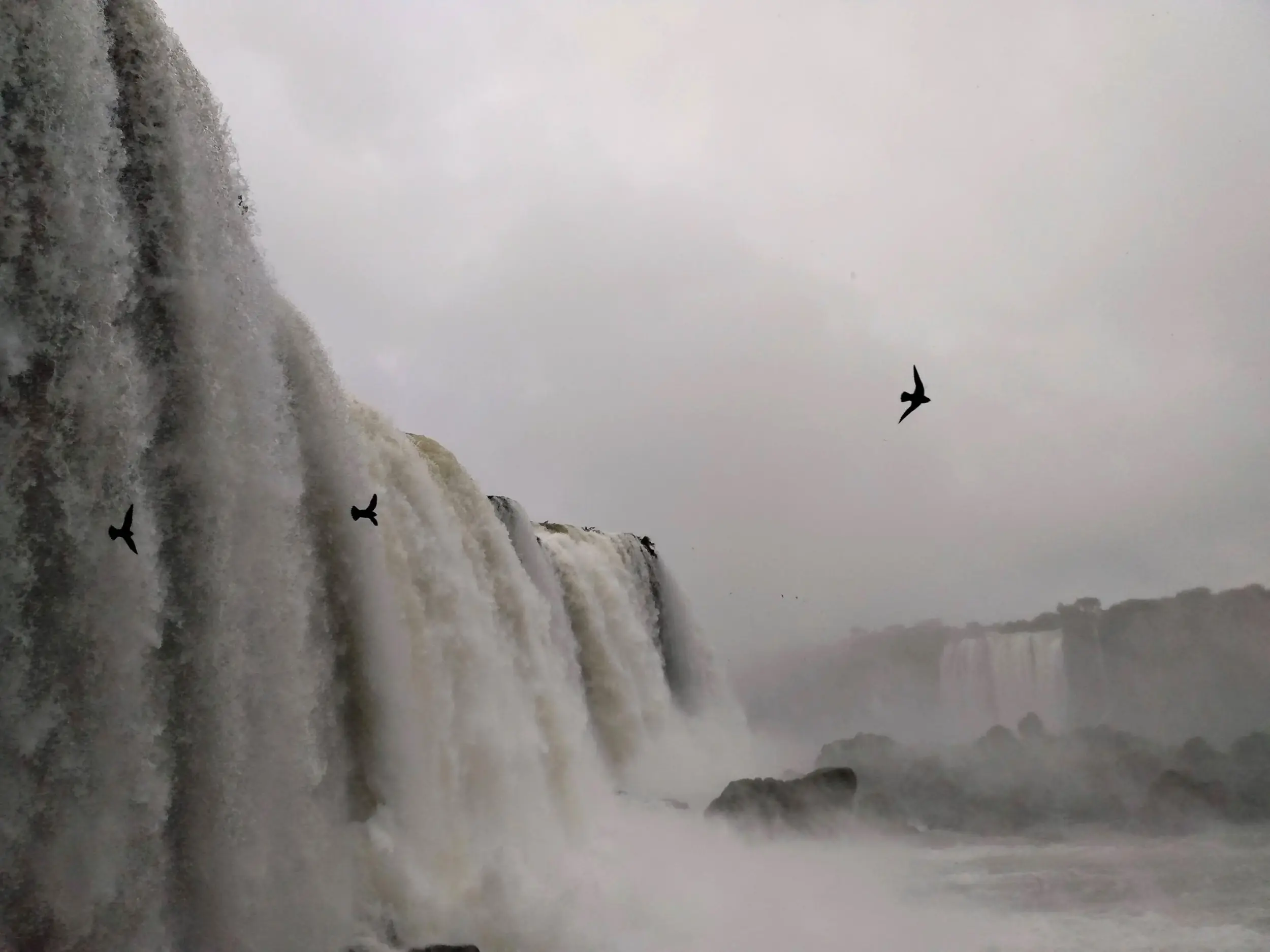 Daniela minniti - team awasi iguazu 2026 photo contest