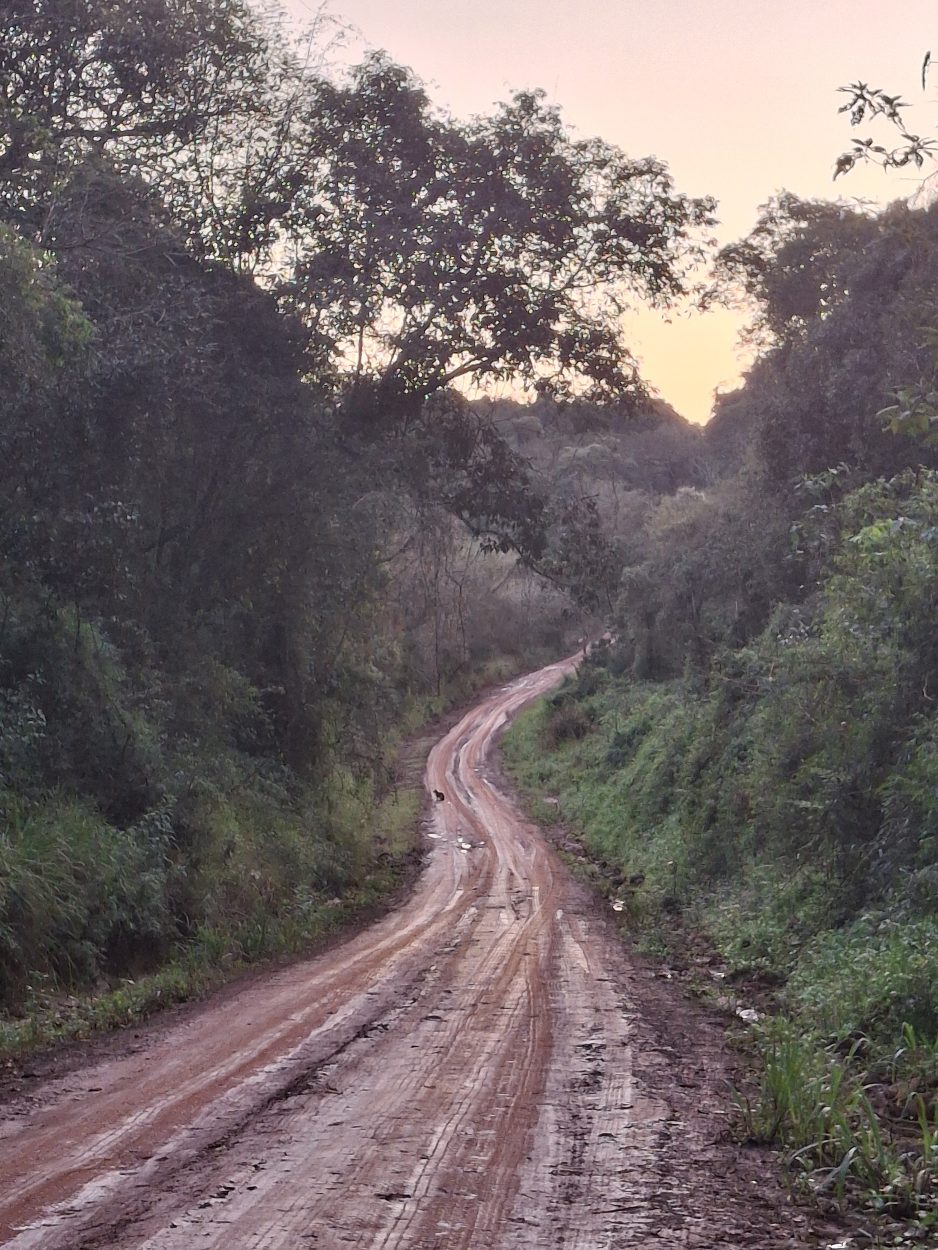 Daniela minniti - team awasi iguazu 2026 photo contest