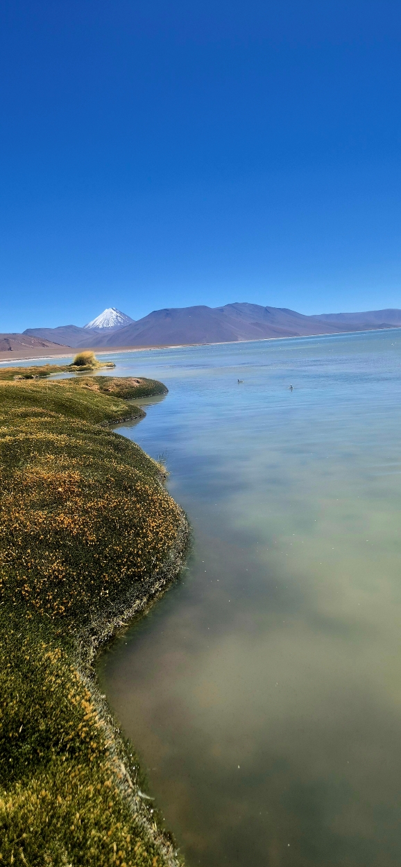 Emilio huerta - team awasi atacama 2026 photo contest