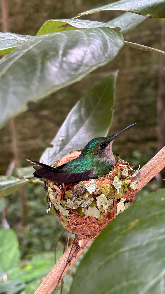 Matheus venancio - team awasi santa catarina 2026 photo contest