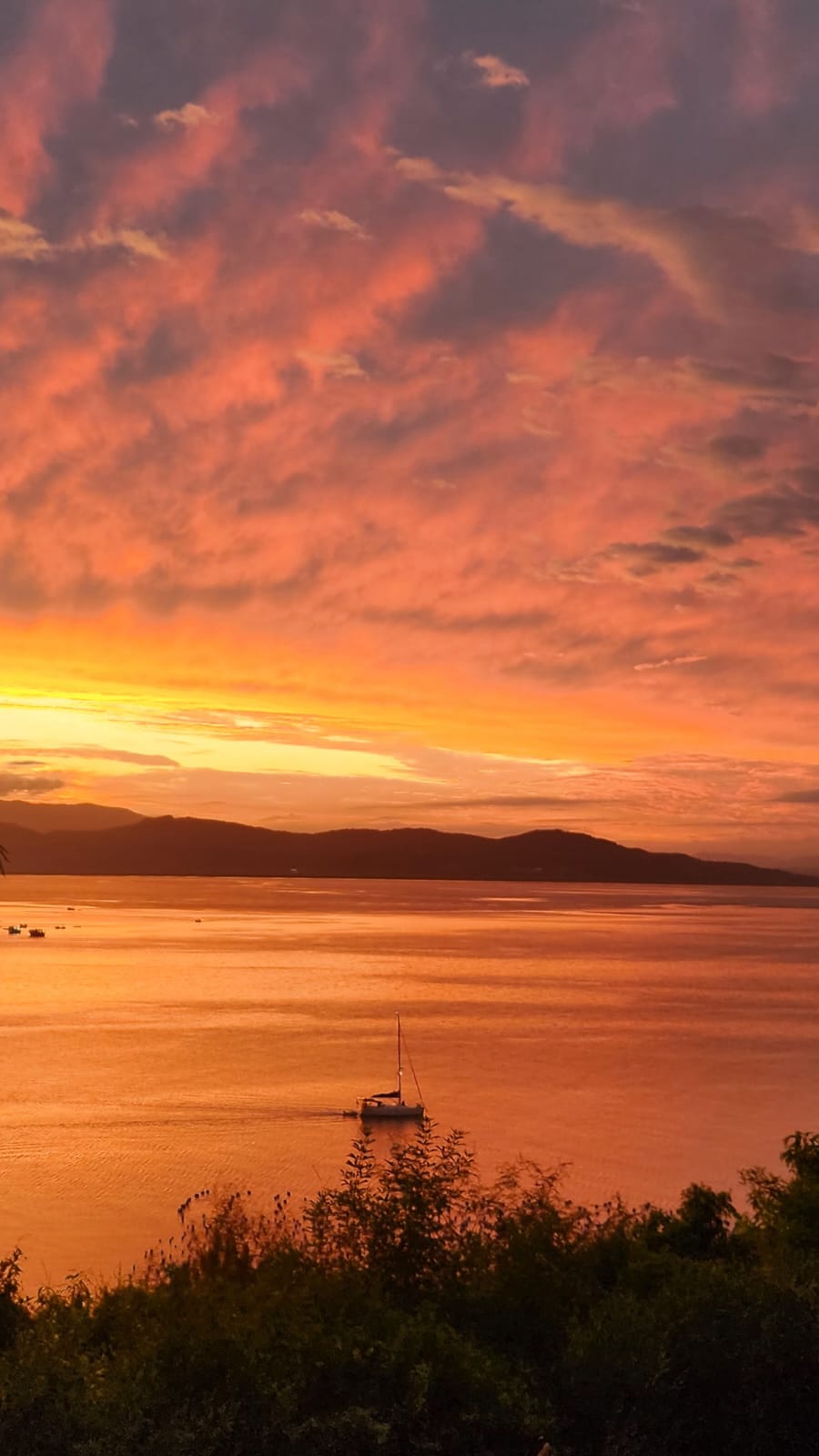 Rafael silva venancio - team awasi santa catarina 2026 photo contest