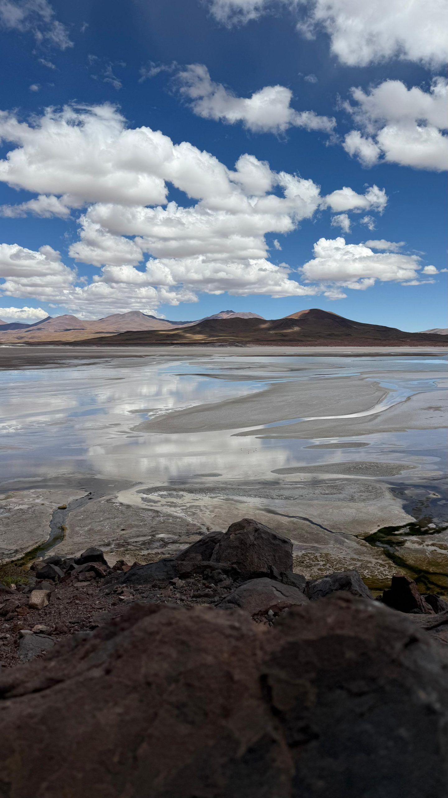 Rommy viloria - team awasi atacama 2026 photo contest