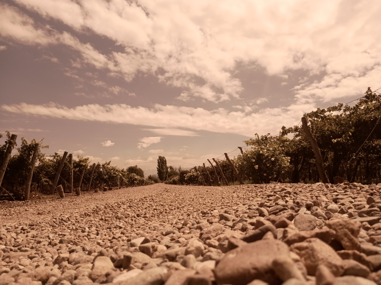 Sergio guaquinchay - team awasi mendoza 2026 photo contest