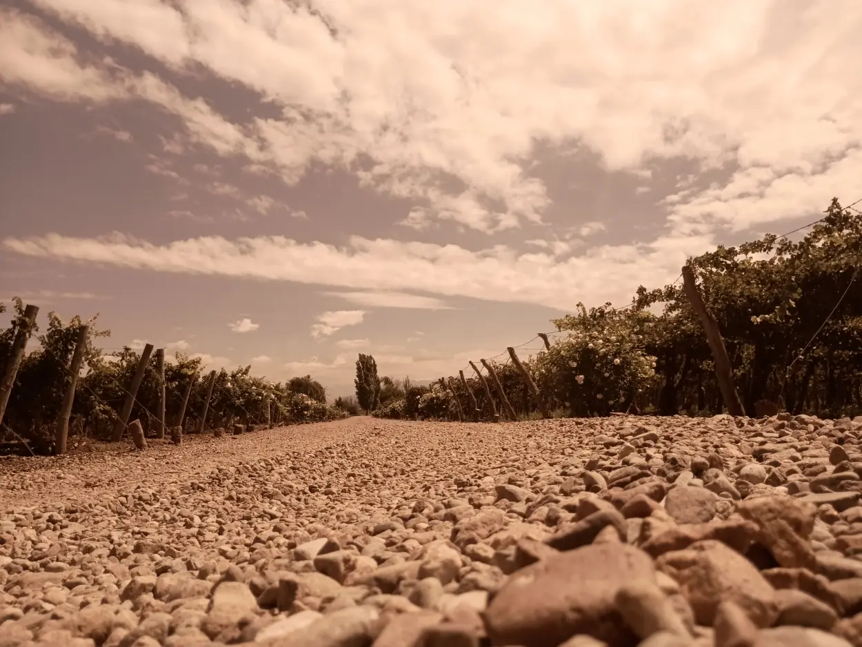 Sergio guaquinchay - team awasi mendoza 2026 photo contest