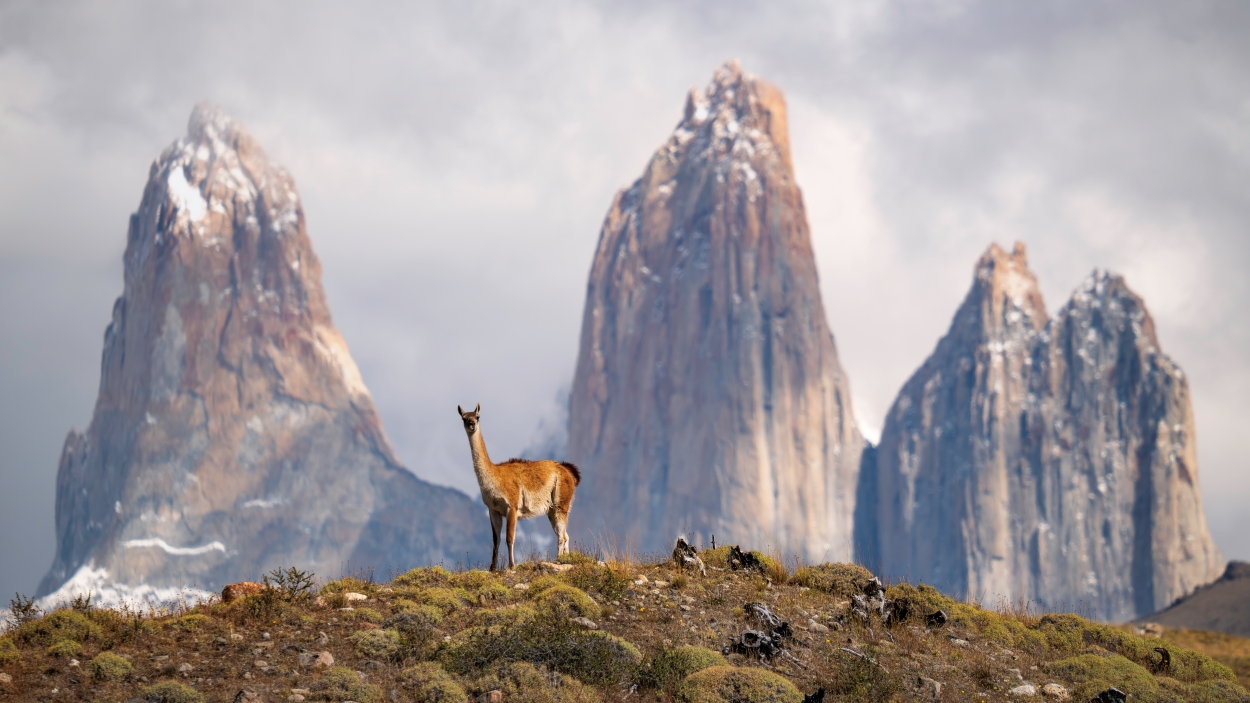 Tomas rodriguez - team awasi patagonia 2026 photo contest