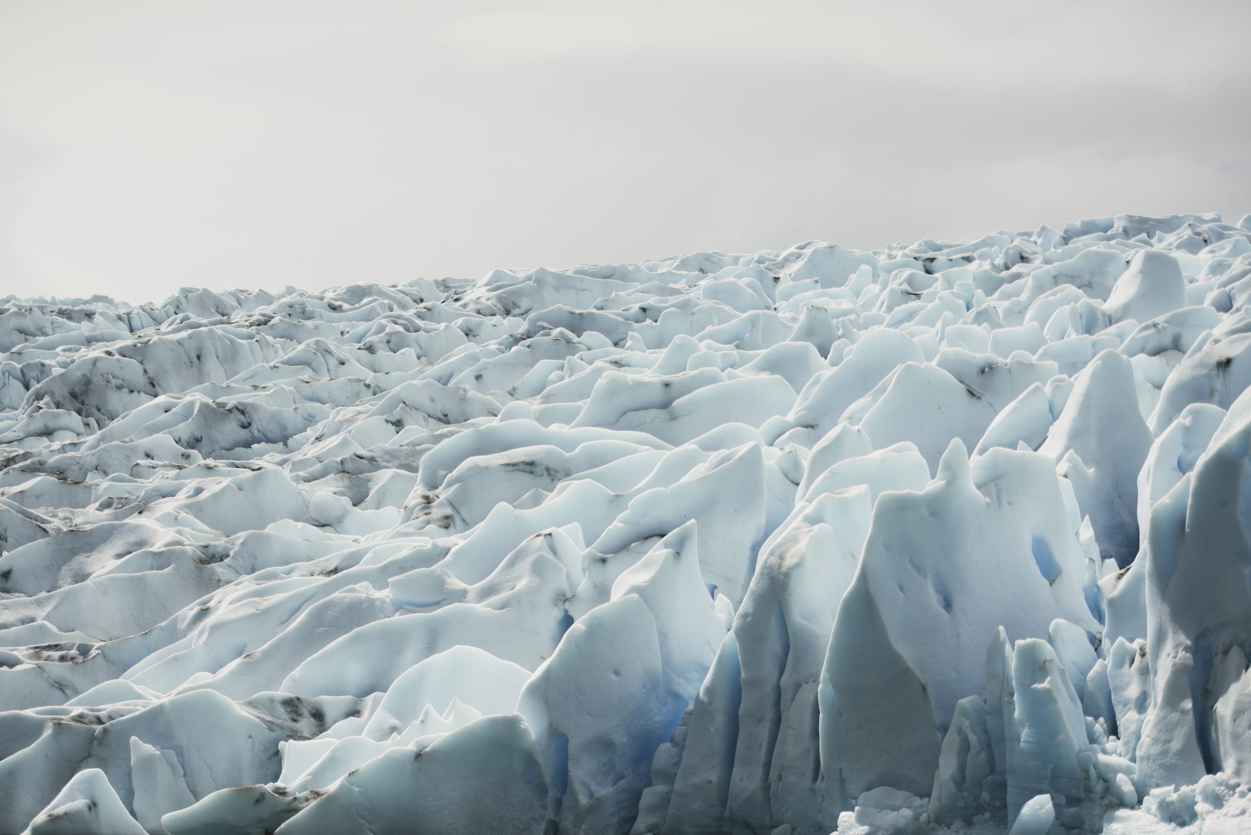 05. Grey Glacier Scaled
