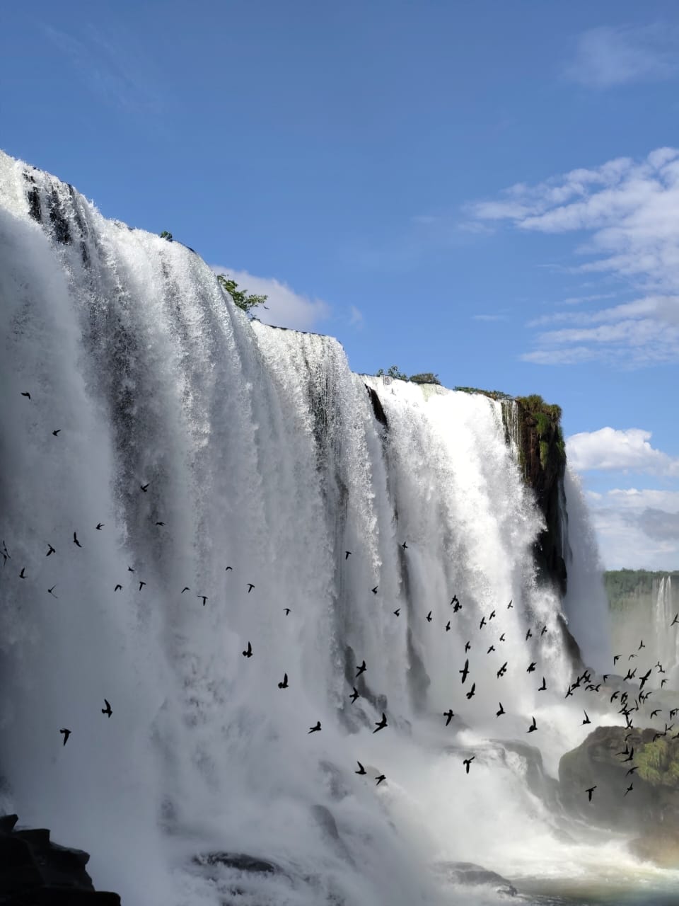 Awasi fotos 2