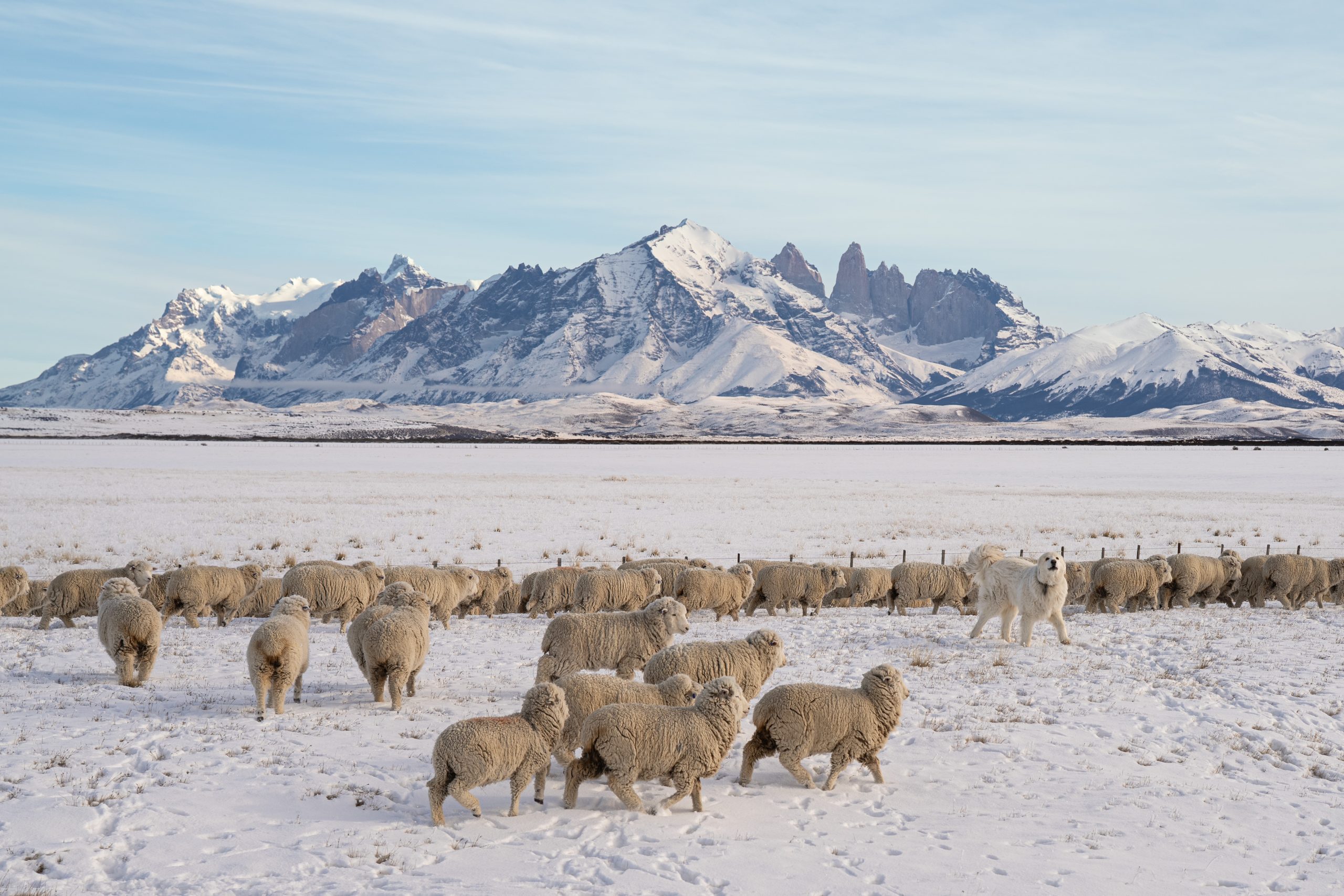 Patagonia inverno 2026 227 scaled