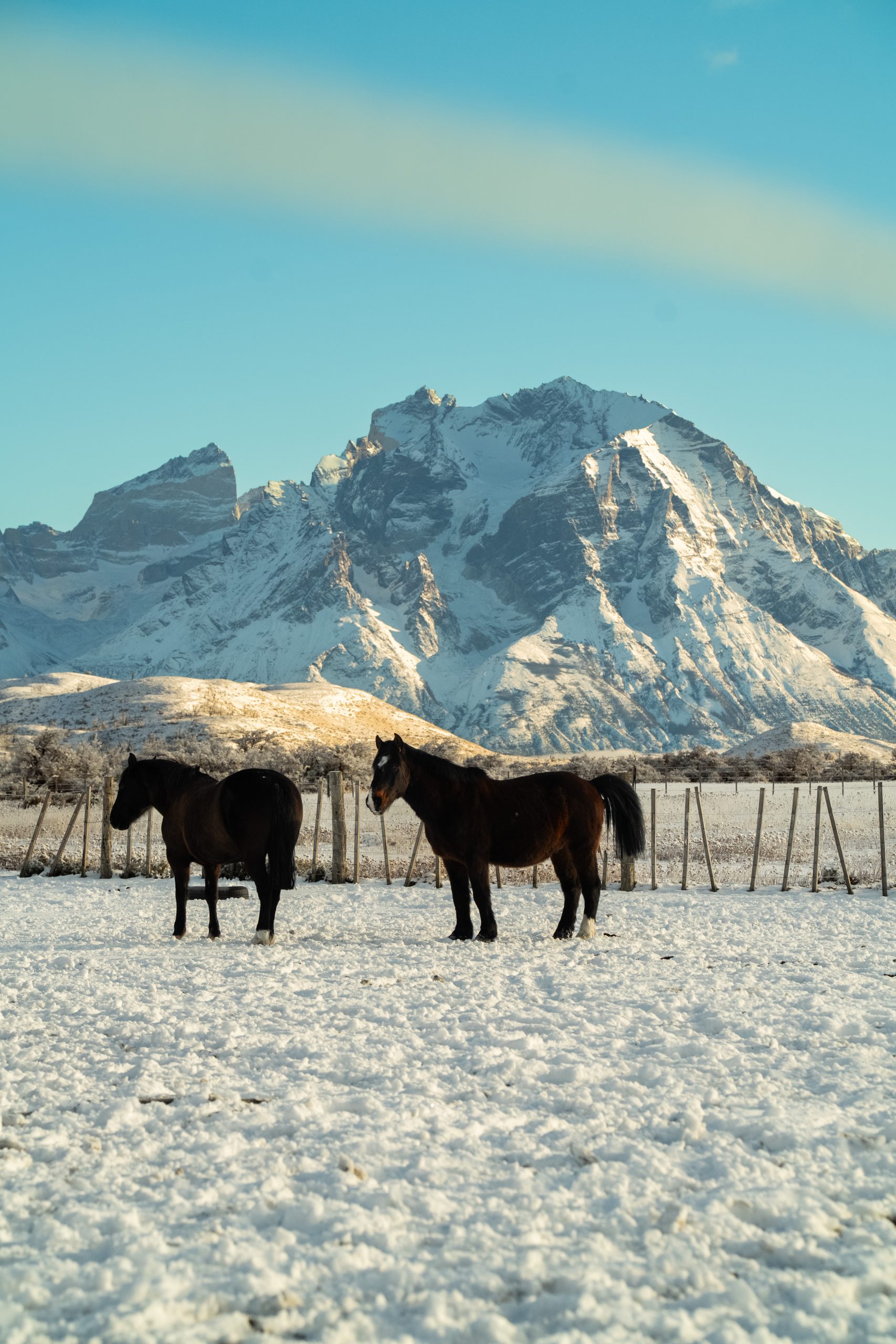 Patagonia Inverno 2026 73 Scaled