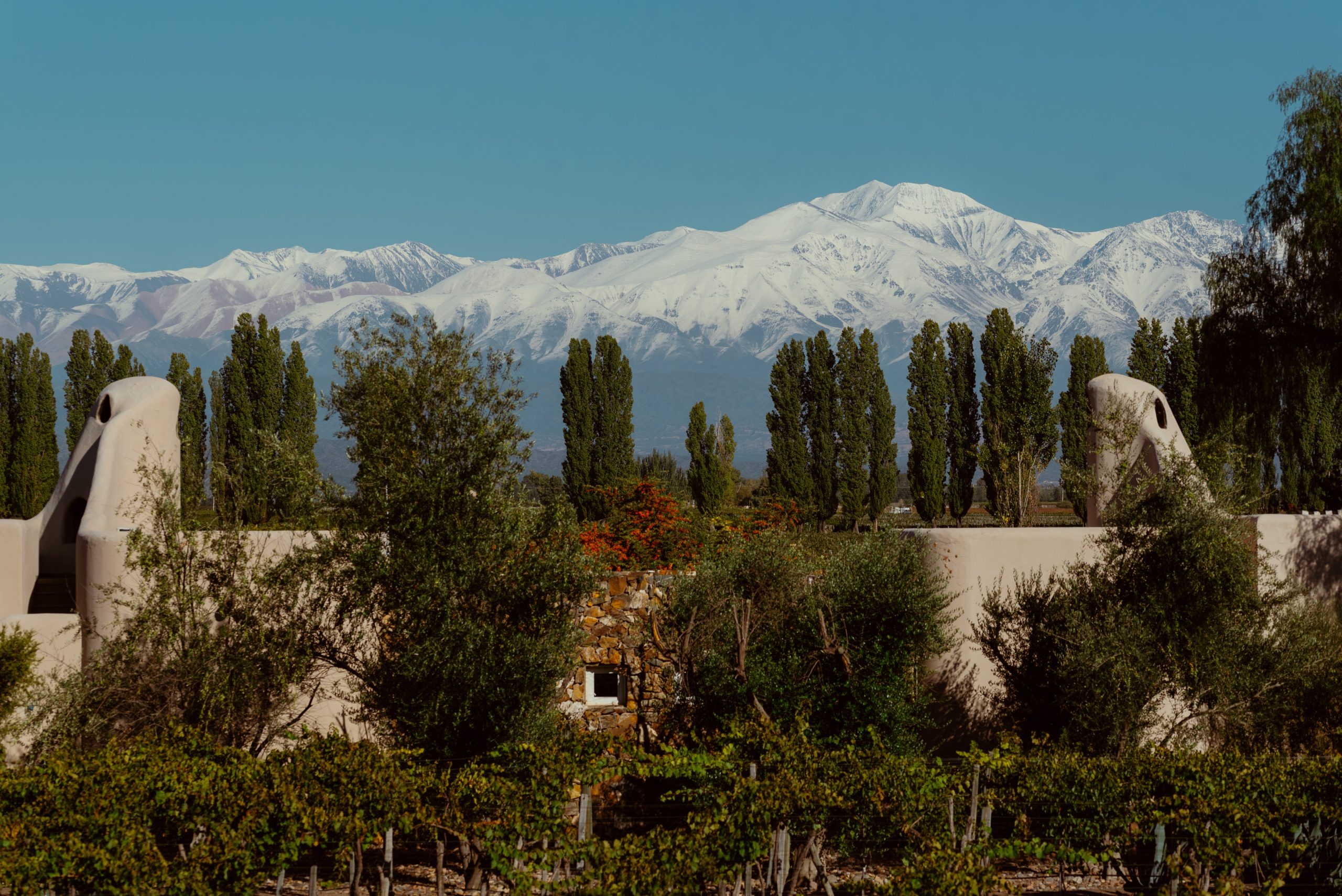 Snowy mountains