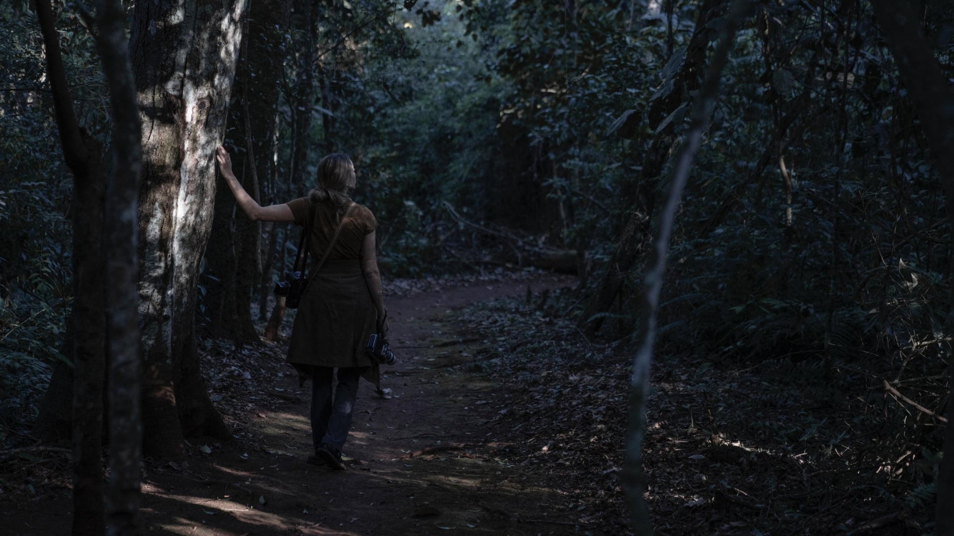 Person walking along a forest path, touching a tree trunk, with a camera in hand in a shaded woodland setting.